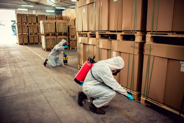 Best Flea Control Services  in New Hope, OR