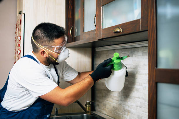 Best Termite Control Services  in New Hope, OR