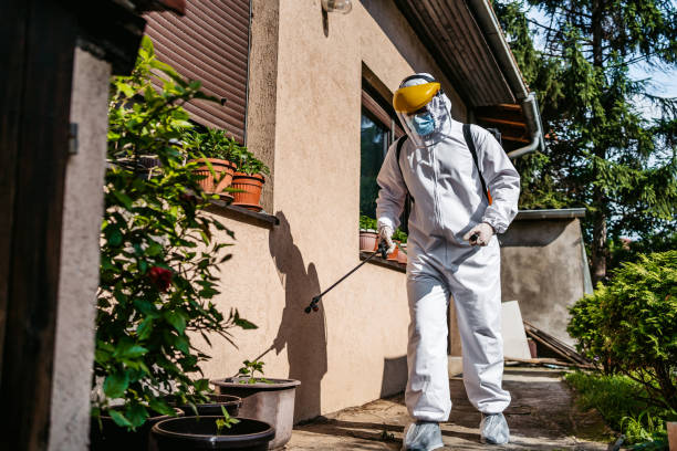 Best Pest Control Near Me in New Hope, OR