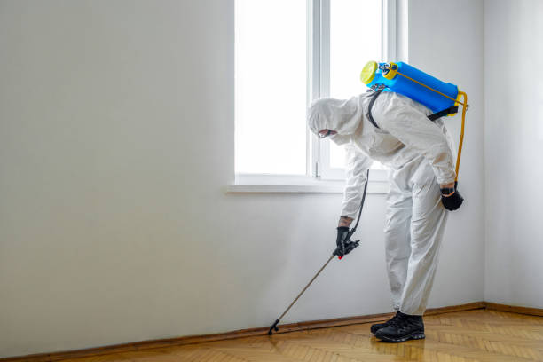 Best Insect Control  in New Hope, OR
