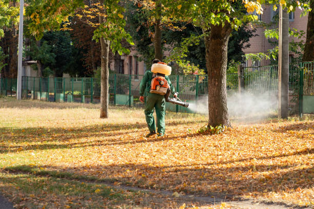 Best Best Pest Control Companies  in New Hope, OR