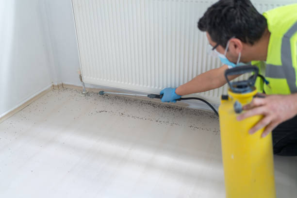 Pest Control for Restaurants in New Hope, OR