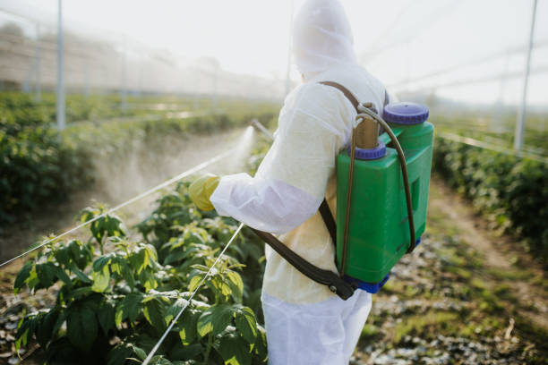 Best Local Pest Control Services  in New Hope, OR